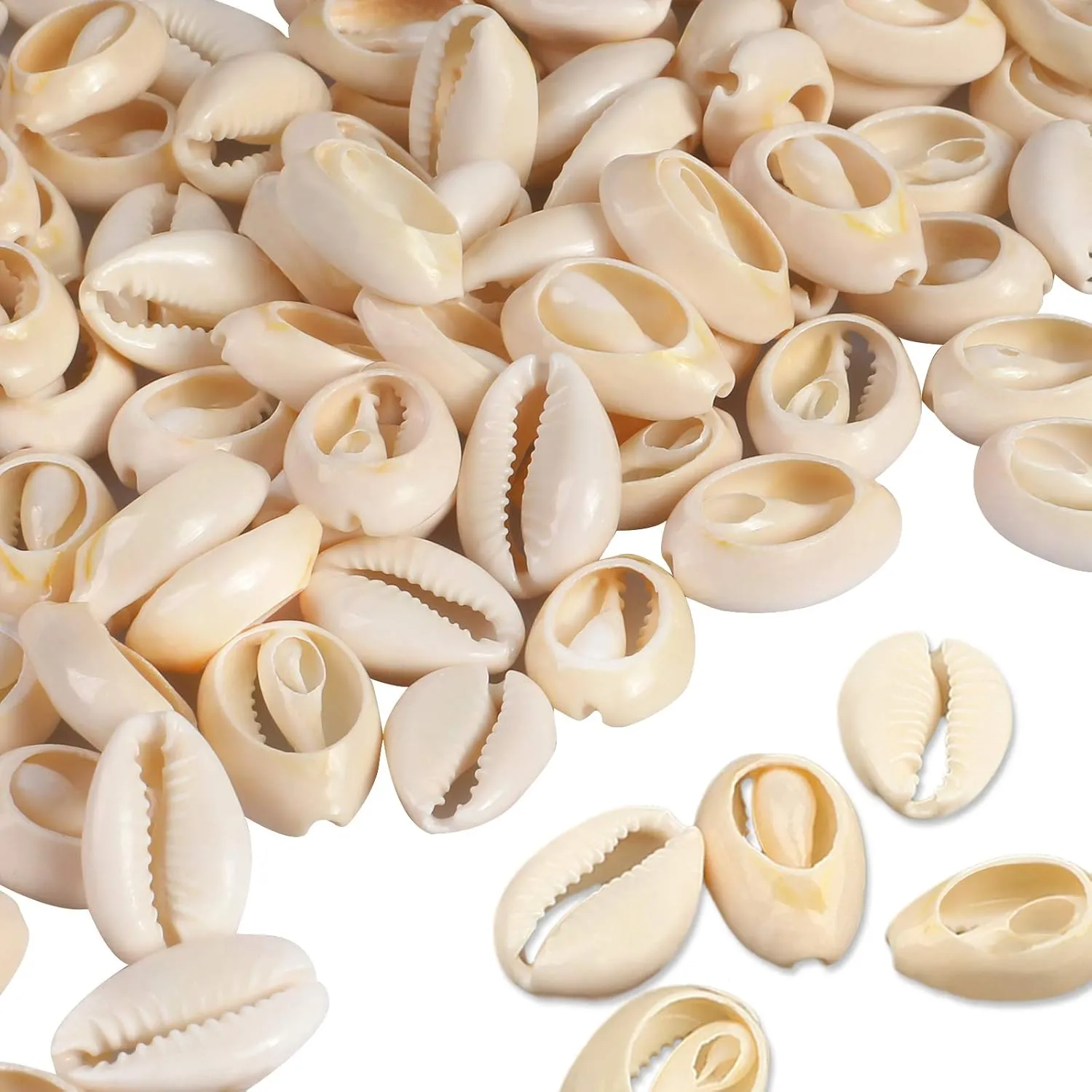 100Pcs Cowrie Shell Beads, White Natural Spiral Shell Bead for Jewelry Making, Summer Beach Cowrie Shells for DIY Craft Bracelets, Necklaces, Anklets