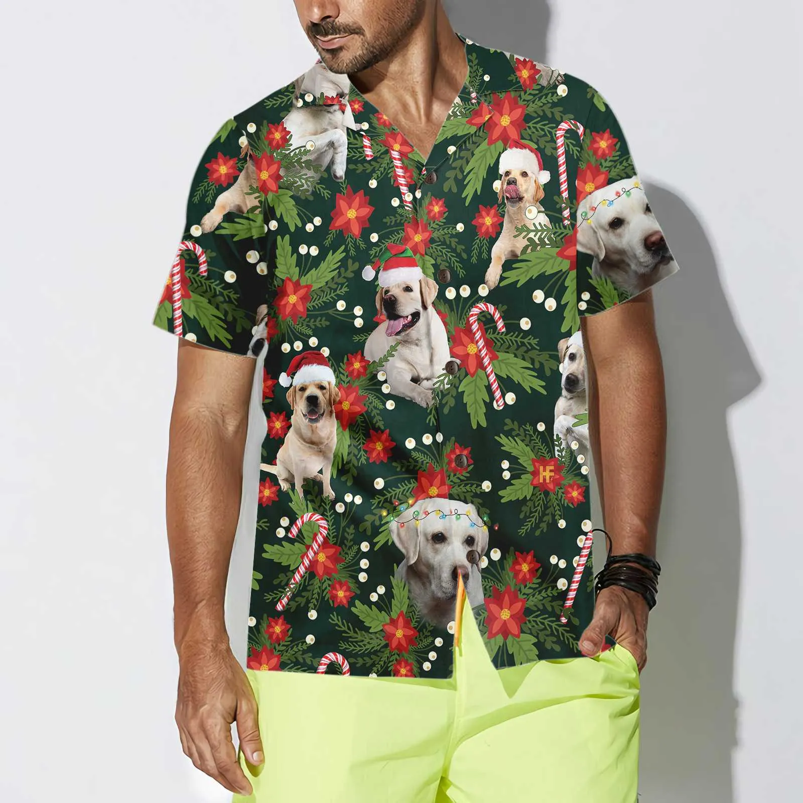 Christmas Labrador Retriever With Poinsettia Flower Hawaiian Shirt, Funny Labrador Shirt For Men & Women